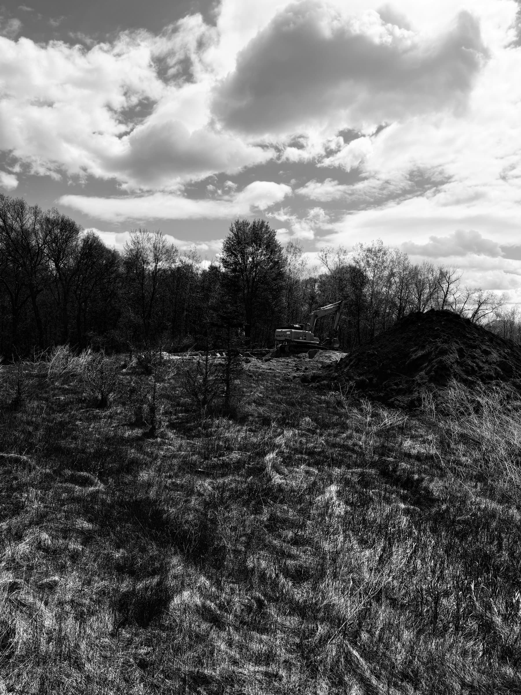 The Oakridge lot before the work began.