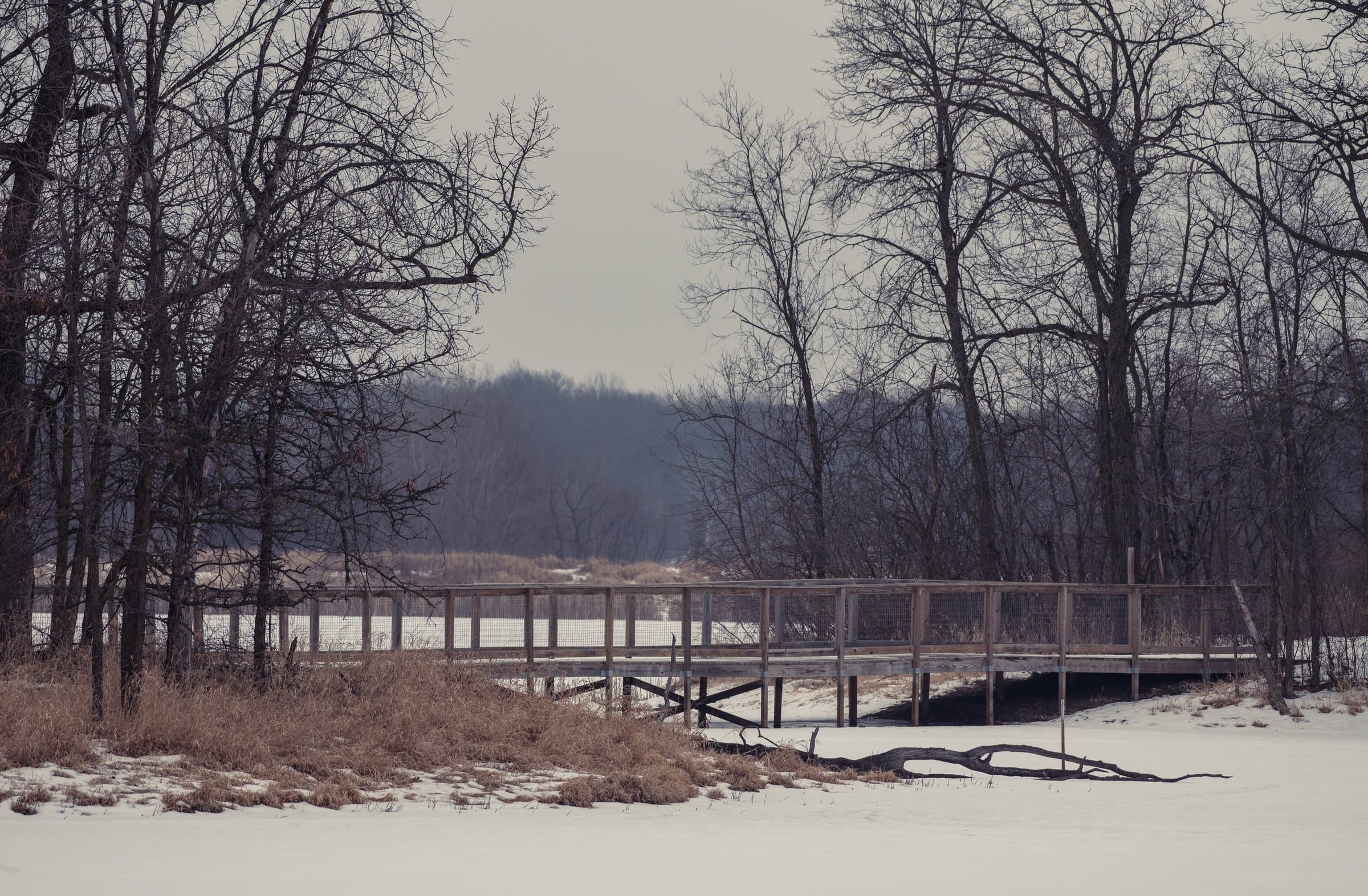 Wooden trail bridge over Eagle Point Lake at Lake Elmo Park Reserve.