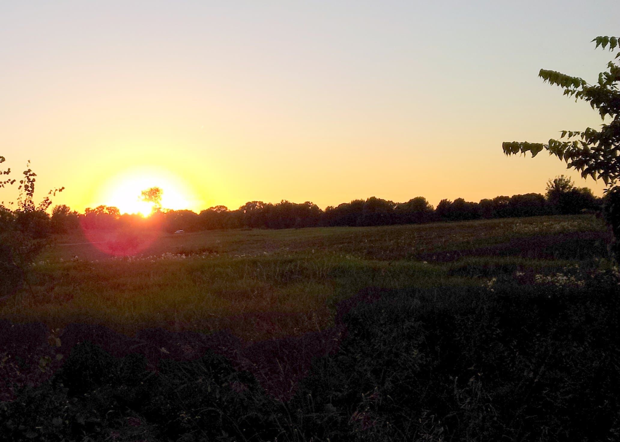 Wide vista across Lake Elmo Park Reserve.
