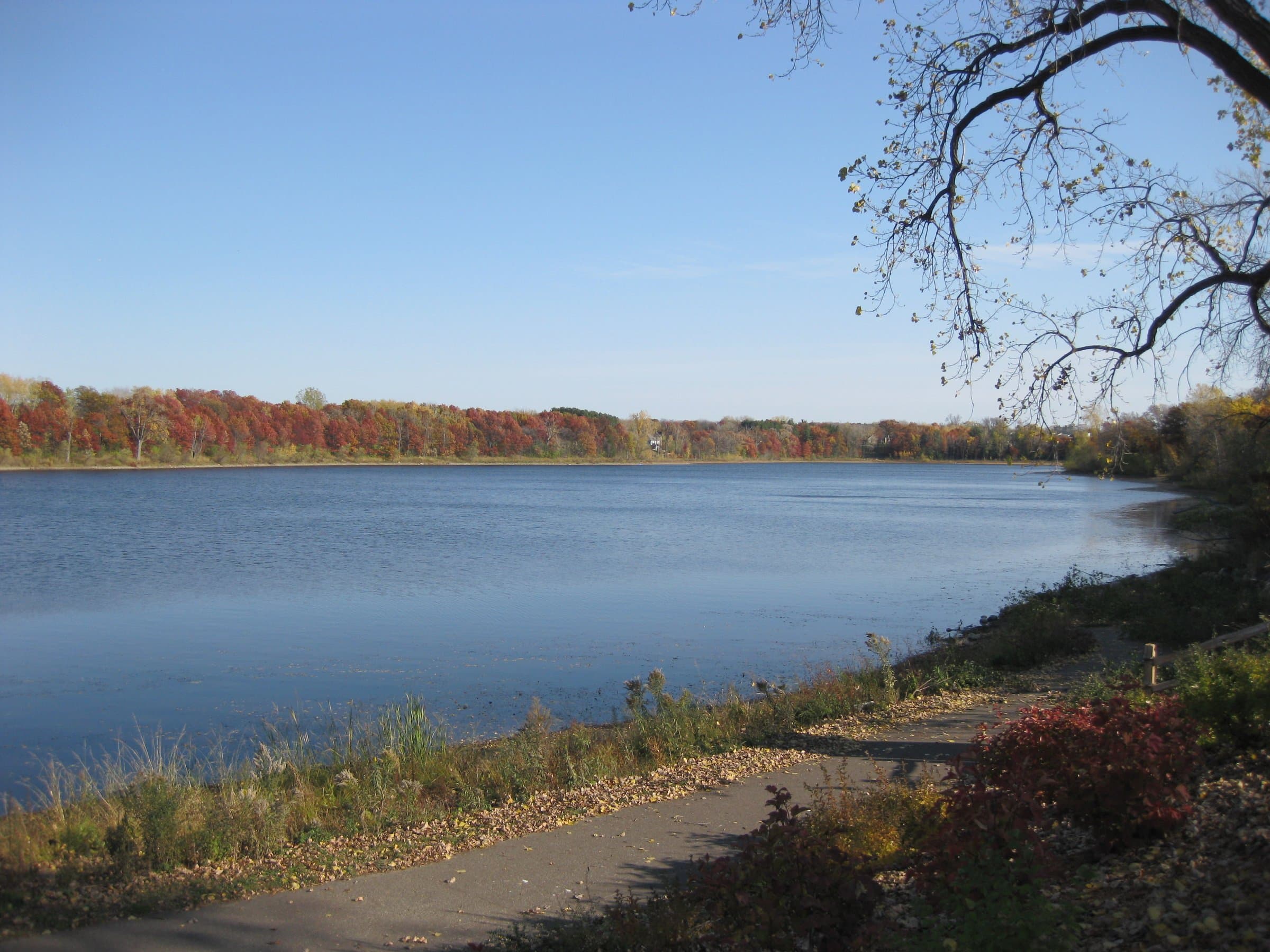 Quiet shoreline at Powers Lake Park in Woodbury.